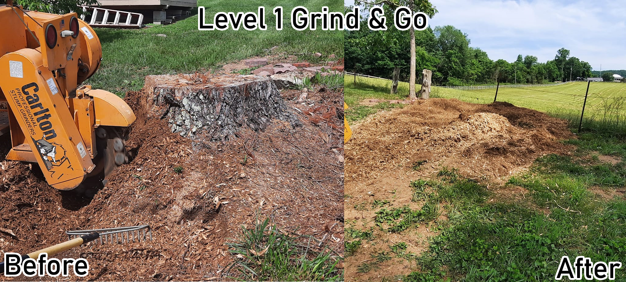 Level 1 Before and After