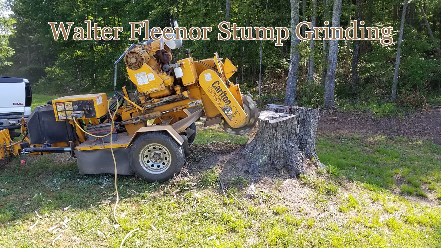 Walter Fleenor Stump Grinding